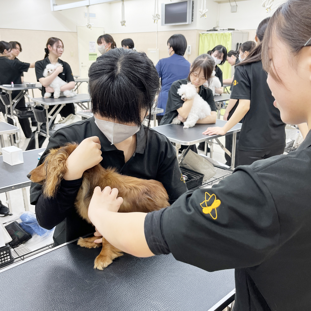 ２年生の看護実習